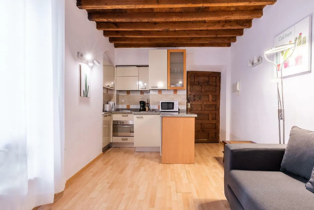 9 Calle Correo Viejo Hotel Malaga Apartment